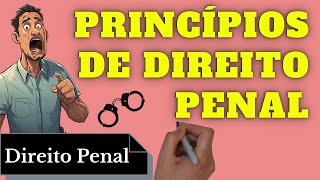 Princípios de Direito Penal Resumo Completo [upl. by Haonam129]