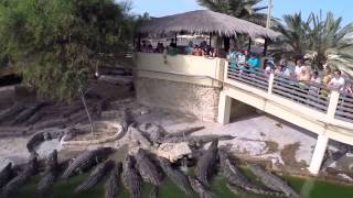 Djerba Explore Djerba vue par un Drone [upl. by Marj100]