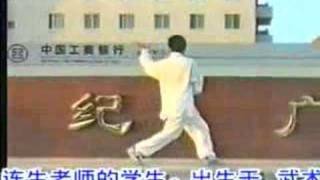 形意八卦掌 Xingyibaguazhang  Walking the Circle [upl. by Kahaleel592]