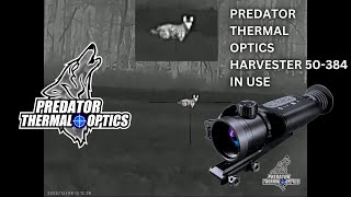 Predator Thermal Optics Harvester 50384 Thermal Riflescope  IN USE💥 [upl. by Nuawed]