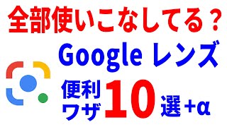 【Googleレンズ】こんな使い方も！？基本から応用まで徹底解説！ [upl. by Rebbecca]