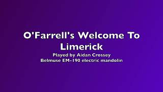 OFarrells Welcome To Limerick  recorded for the Mandolin Players In Ireland Social Group [upl. by Itnuahsa685]