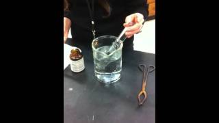 Na  H2O  High school chemistry lab demo Part 1 [upl. by Utas]