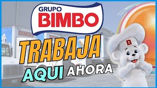 EMPLEO BIMBO BUSCO TRABAJO 2023 SIN EXPERIENCIA [upl. by Arraet]