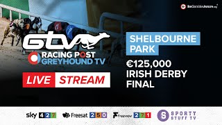 2023 Irish Derby Final  Live Greyhound Racing [upl. by Goodrow]