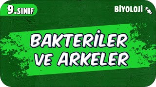 Bakteriler ve Arkeler  9Sınıf Biyoloji 2025 [upl. by Ramirol]