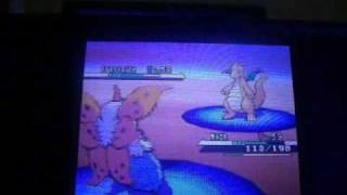 How to catch Dragonite in Pokemon BlackWhite [upl. by Jay500]