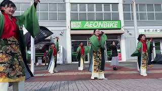 総踊り イヤサカ秋田 2024年イオン船岡店元旦初売りイベント [upl. by Eirehs]