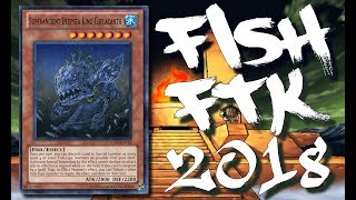 First Turn Kill  Coelacanth Mermail 2018 [upl. by Ellingston]