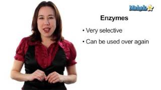 Learn Biology Cells—Enzymes [upl. by Eillen]