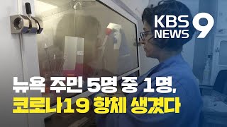 미국 뉴욕주 ‘항체검사’ 14 양성…유럽도 ‘항체검사’ 시작  KBS뉴스News [upl. by Getter]