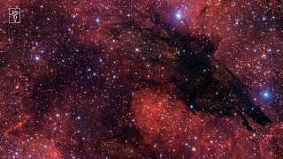 Panning Across the Dark Wolf Nebula [upl. by Patterson]