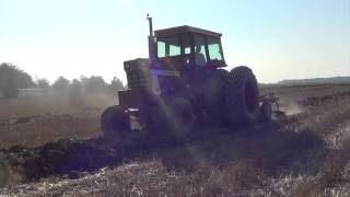 1066 International Tractor chisel plowing near Findlay Ohio [upl. by Betthel503]