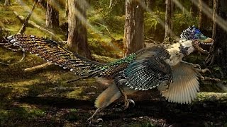 Zhenyuanlong suni biggest ever winged dinosaur is found in China [upl. by Vachell]