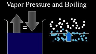 Vapor Pressure and Boiling [upl. by Namlaz112]