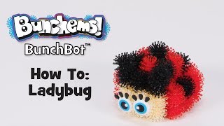 BunchBot How To Ladybug [upl. by Ahsram]