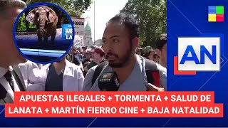 Martín Fierro Cine  Apuestas ilegales  Tormenta AméricaNoticias  Programa completo 221024 [upl. by Haldeman60]