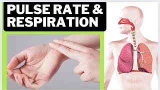 PulseFactors Affecting Pulse RateSites Of Taking PulseAbnormality In Pulse Rate Respiration [upl. by Tatia]