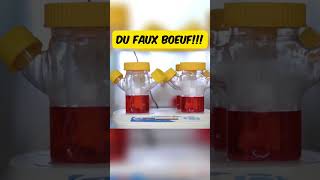 DU faux boeuf streetfood streetcuisine food cuisine recette gastronomique [upl. by Brookhouse143]