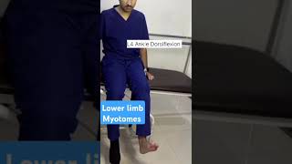 Lower limb Myotomesyoutubeshortsphysiotherapytreatmentdoctormyotomes [upl. by Euv]