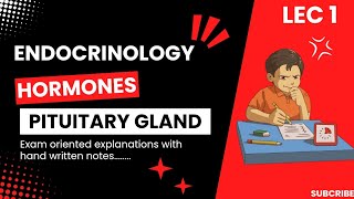 ENDOCRINOLOGY PITUITARY GLANDHORMONES EXAM ORIENTED EXPLANATIONS HAND WRITTEN NOTES [upl. by Anil]