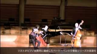 Beethoven Symphony No 5 piano trio arrangement idea Satori Hasegawa [upl. by Hertberg784]