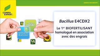 COMPO EXPERT  Fonctionnement du Bacillus E4CDX2 [upl. by Ocramed]