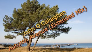 John OCallaghan  Autumn Avenue Extended Mix 2024 [upl. by Rutherford]