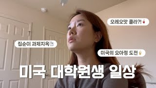 미국 대학원생 공부하는 일상🤓ㅣ미국의 요아정🍦ㅣ집순이 한달만에 외출🛍️ [upl. by Cykana516]