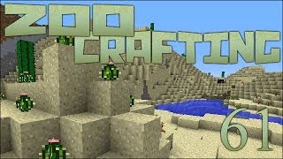 Hidden Desert Gems 🐘 Zoo Crafting Episode 61 [upl. by Trust]