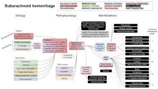 Subarachnoid hemorrhage mechanism of disease [upl. by Llerreg114]