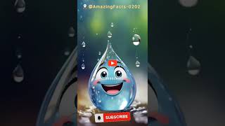 Water 💧 AmazingFacts0202 facts shorts viralvideo didyouknow motivation factsdaily gk [upl. by Rimma]