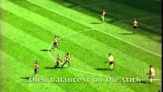 Hurling  The Fastest Game on Grass short version [upl. by Zelazny883]