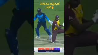 වනියට කවුරුවත්ම අදාළ නෑ🔥🔥 cricket trending viralshort [upl. by Namilus232]