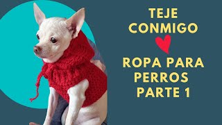 DIY Como hacer jersey con capucha para perrito a crochet muy fácil🐶 Con solo 50 gramos de lana [upl. by Opal]