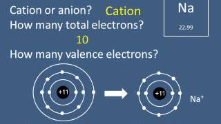 110 2 Ions and the Octet Rule [upl. by Issy]