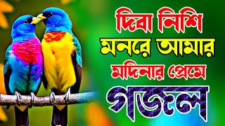 দিবা নিশি মনরে আমার মদিনার প্রেমে নতুন গজল  মন জুড়ানো গজল  New Gojol islamic ghazal [upl. by Ha]