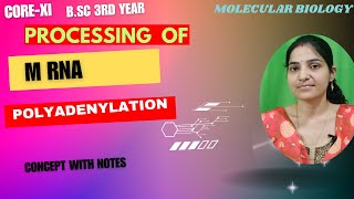 Polyadenylation Of mRNARNA ProcessingCPSFCstF [upl. by Nuhsar391]