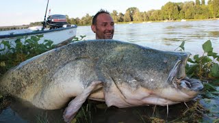 Catfish Over 250 lbs on Spinning Fishing by Yuri Grisendi [upl. by Ailat24]