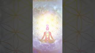 BUDDHA MEDITATION  DIVINE MASCULINE PILLAR Meditation with Ascended Master Buddha [upl. by Zailer841]