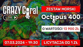 Marcowy Crazy Coral Live Licytacja zestawu morskiego o wartości 13 900 zł od 1 zł LINK W OPISIE [upl. by Rinna]