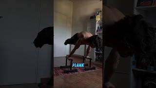 What Is Your Plank Level  Different Plank Level shorts fitness health [upl. by Aizti]