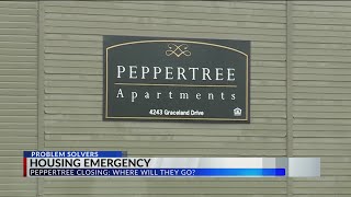 Peppertree tenants to be moved amid dire homeless situation [upl. by Elyl]