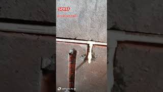 Bathroom cpvc fittings wall mixer shower 🚿plumbingservices viralvideo trendingshorts ytshorts [upl. by Yar]