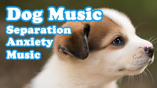 Deep Separation Anxiety Music for Dog Relaxation Helped 40 Million Dogs Worldwide [upl. by Nellad431]