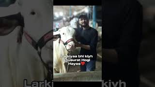 Larkiyaa bhi kiyh khusurat Hogi hayee ❤️  mandiseason cow ytvideosviral ytviral ytshortsvideo [upl. by Mullen]