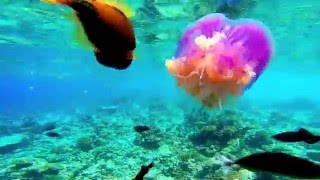 Ellaidhoo Malediven 20152016  GOPRO HERO 3 [upl. by Eliezer]