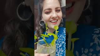 Khilte hain gul yaha khil ke bichhadne ko💁‍♀️💕💐👌actores rakhi oldsong viralvideo youtubeshorts [upl. by Jameson78]