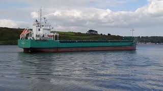 Shipping in Waterford estuary 🇮🇪 [upl. by Hadsall307]