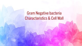 Gram Negative Bacteria  Characteristics amp Cell Wall [upl. by Absa]